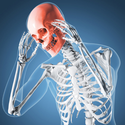 xray of spinal bones